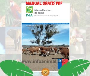 Manual Bovino de carne. PDF GRATIS