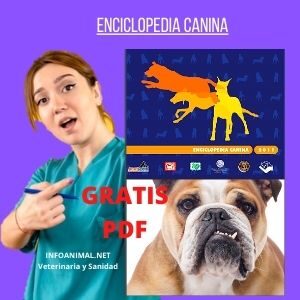 Enciclopedia Canina. PDF