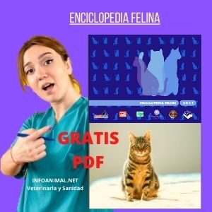 Enciclopedia Felina. PDF