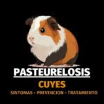 Pasteurelosis