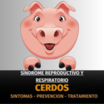 l Síndrome Reproductivo