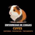 Enfermedad de Chagas en Cuyes