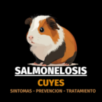 Salmonelosis en Cuyes: