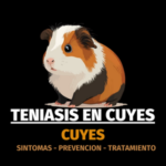 Teniasis en Cuyes